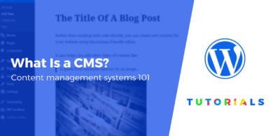 What is a Content Management System