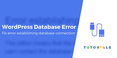 Establishing a Database Connection WordPress